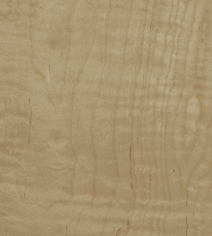 Maple
